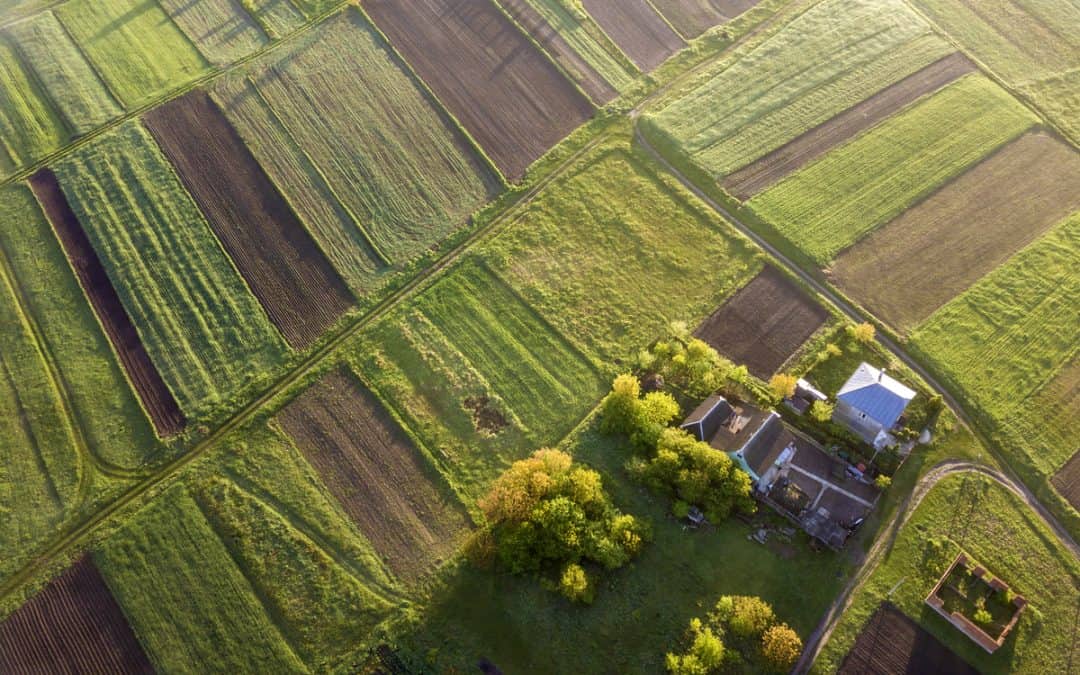 Egyéb földhasználati szerződések a földbérlet mellett: szívességi földhasználat, alhaszonbérlet és többlethasználat